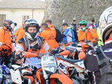 MDV_4439