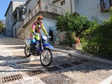 MDV_4534
