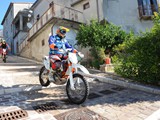 MDV_4555