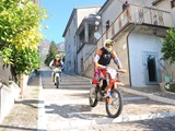 MDV_4561