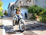 MDV_4567