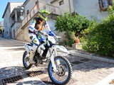 MDV_4568