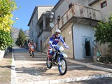 MDV_4593