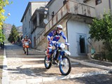 MDV_4594