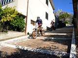 MDV_4779