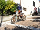 MDV_4781