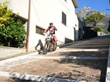 MDV_4782
