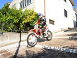 MDV_4981