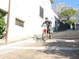 MDV_5161