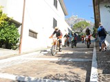 MDV_5190