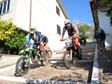 MDV_5194