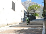 MDV_5225