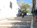 MDV_5230