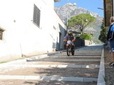 MDV_5231