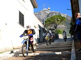 MDV_5268
