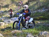 CIT_3176