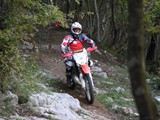 UFC_4295