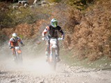 MDV_5730