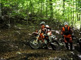 MDV_5931