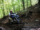 MDV_6017