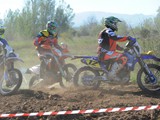MDV_5331