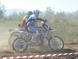 MDV_5334