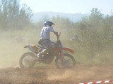 MDV_5354