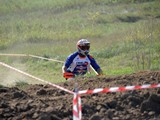 MDV_5383