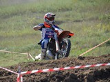 MDV_5384