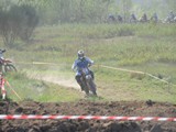 MDV_5394