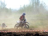 MDV_5437