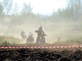 MDV_5445