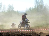 MDV_5447