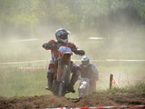 MDV_5484