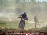 MDV_5499