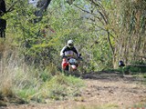 MDV_5512
