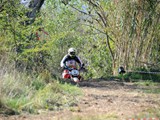 MDV_5513