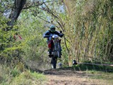 MDV_5514