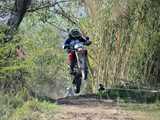 MDV_5515