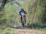 MDV_5516