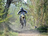 MDV_5517