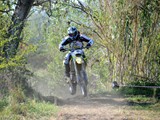 MDV_5518