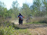 MDV_5528