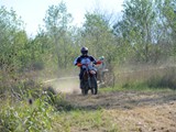 MDV_5529