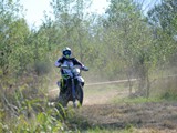MDV_5530