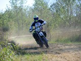 MDV_5532