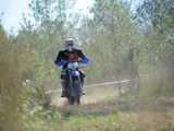 MDV_5534