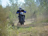 MDV_5535