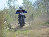 MDV_5536
