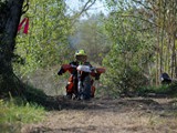 MDV_5538